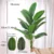 65cm 12Leaves