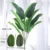 80cm 18leaves